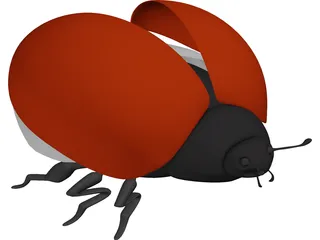 Bug Female 3D Model preview