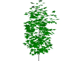 Tree 3D Model preview