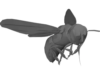 Bee 3D Model preview