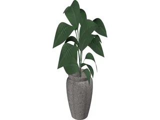 Ficus 3D Model preview