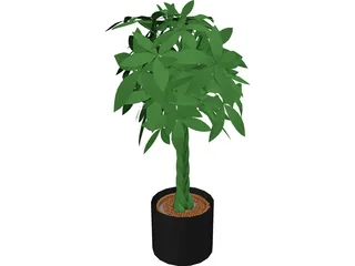 Spatiphylum 3D Model preview