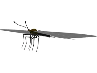 Sallow Tail Butterfly 3D Model preview