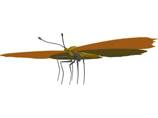 Poke Eye Butterfly 3D Model preview