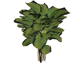 Bamboo Palm 3D Model preview