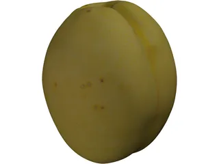 Apricot Fruit 3D Model preview