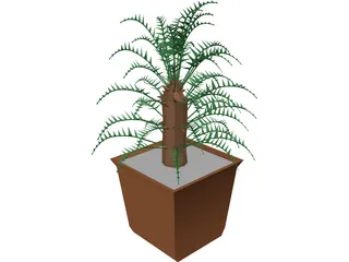 Cica Palm Tree with Sisal Vase 3D Model preview