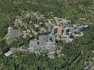Portland City, OR, USA (2020) 3D Model preview