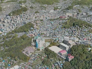 Nagasaki City, Japan (2020) 3D Model preview