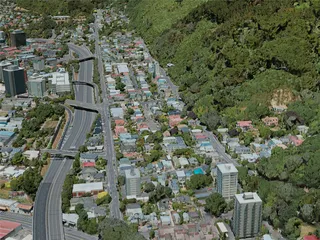Wellington City, New Zealand (2020) 3D Model preview