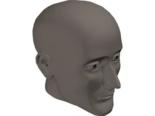 Head Human 3D Model preview