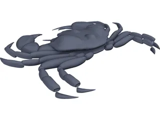 Harris Mud Crab 3D Model preview