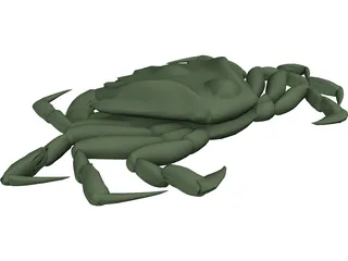 European Green Crab 3D Model preview