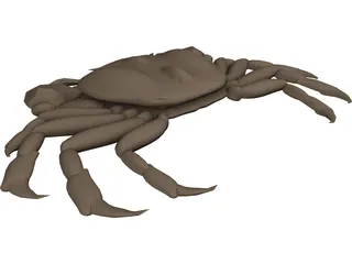 Asian Shore Crab 3D Model preview