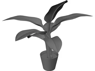 Banana Plant 3D Model preview