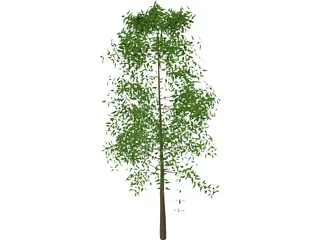 Tree 3D Model preview