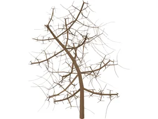 Tree 3D Model preview