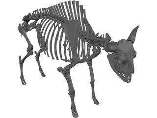 Bull Skeleton 3D Model preview