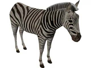 Zebra 3D Model preview