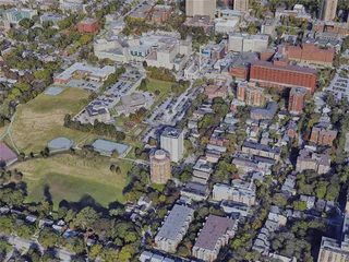 Halifax City, Canada (2021) 3D Model preview