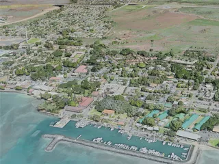 Lahaina City, USA (2021) 3D Model preview