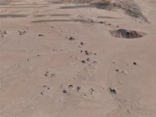 Joshua Tree National Park, USA (2021) 3D Model preview