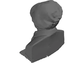 Richard Wagner Bust 3D Model preview