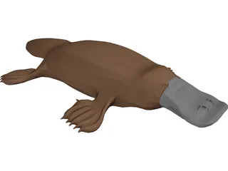 Platypus 3D Model preview