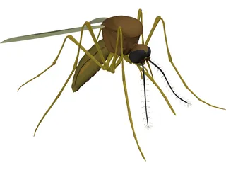 Mosquito 3D Model preview