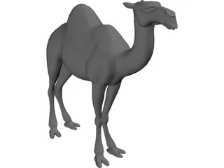Camel 3D Model preview