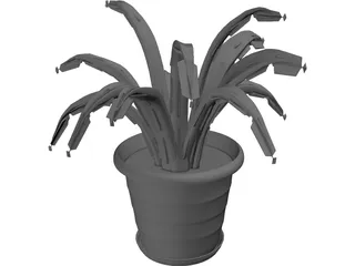 Aloe Plant in a Pot 3D Model preview