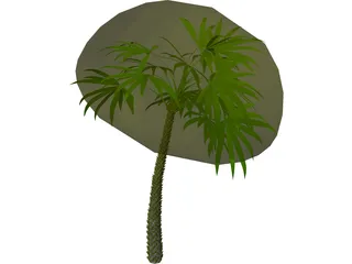 Palm 3D Model preview