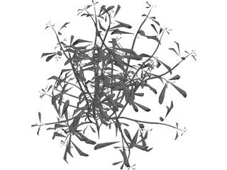 Flower 3D Model preview