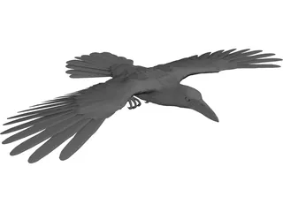 Raven 3D Model preview