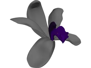 Orchid 3D Model preview