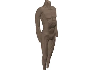 Surface Muscles 3D Model preview