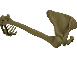 Arm Right 3D Model preview