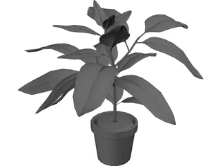 Houseplants 3D Model preview