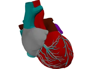 Heart 3D Model preview