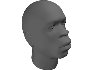 Head African Male 3D Model preview