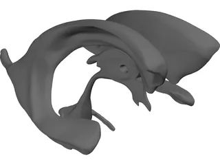 Brain Ventricle 3D Model preview