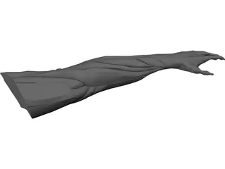Arm Muscles 3D Model preview