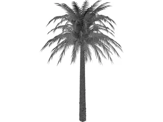 Tree Palm 3D Model preview