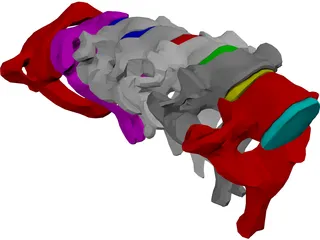 Vertebrae Cervical 3D Model preview