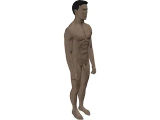 Man 3D Model preview