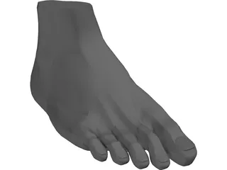 Foot 3D Model preview