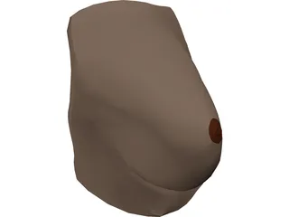 Breast 3D Model preview