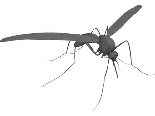 Mosquito 3D Model preview