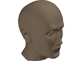Head Male 3D Model preview