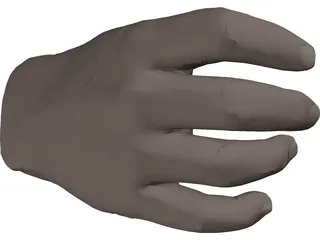 Hand Male 3D Model preview