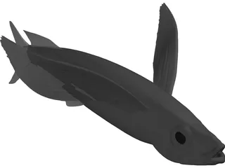 Parexocoetioes 3D Model preview